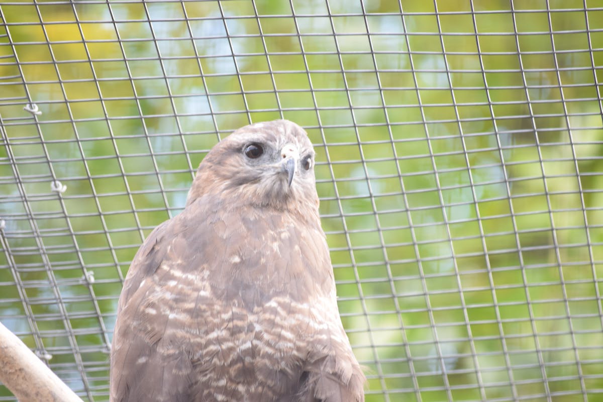 Modern living room with neutral colors, natural wood, and large windows creating an airy and sustainable decor style