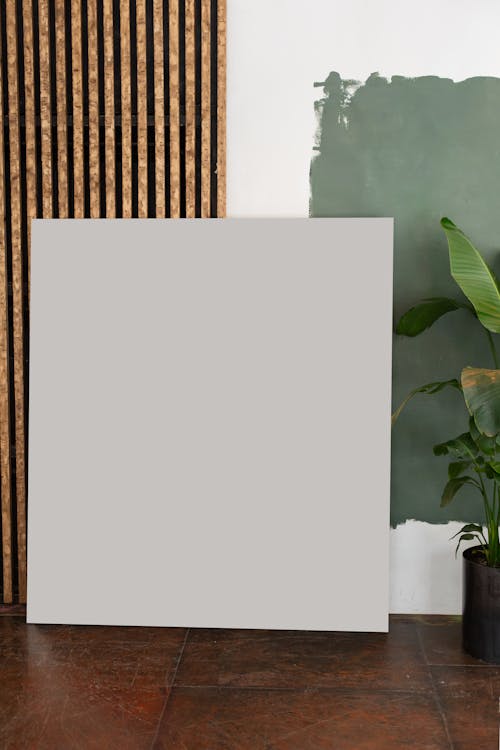 Interior of light room with white board on floor near green potted plant and painting