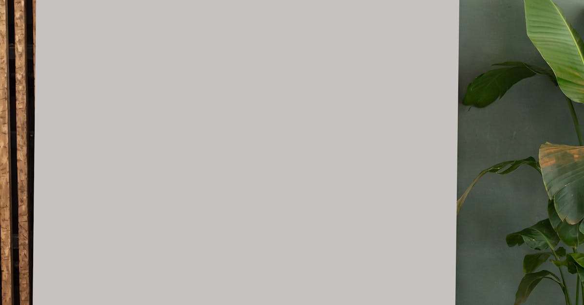 How to plant green onions inside