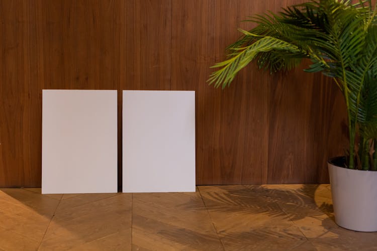 White Canvases On Floor Near Potted Plant