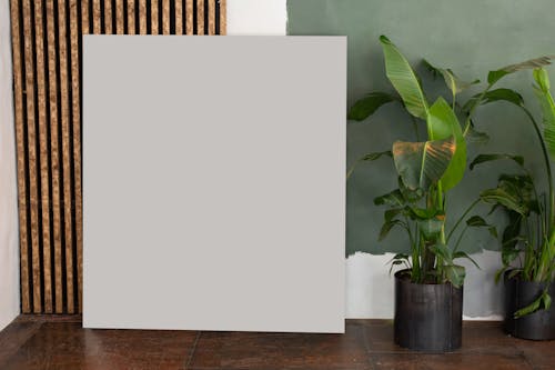 Interior of bright room with big square white canvas on floor near green potted plants and wall