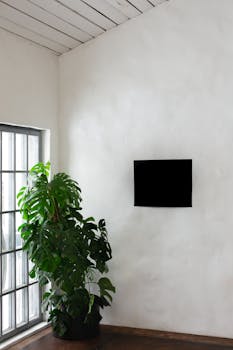 Bright minimalist room featuring a thriving Monstera plant beside a simple wall art piece.
