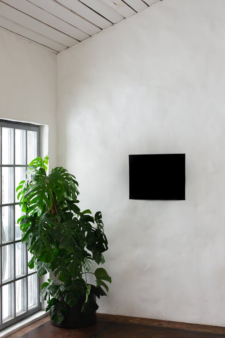 Blackboard On Wall Near Plant And Window In Room