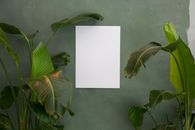 White board on wall near potted plants in studio