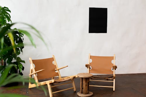 Black blank paper on wall near potted plant with green foliage in light room with wooden armchairs in modern studio