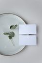 Top view of white blank name tags on round plate with small green plant on white background in light room