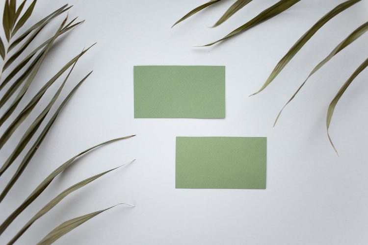 Blank Business Cards Near Green Leaves