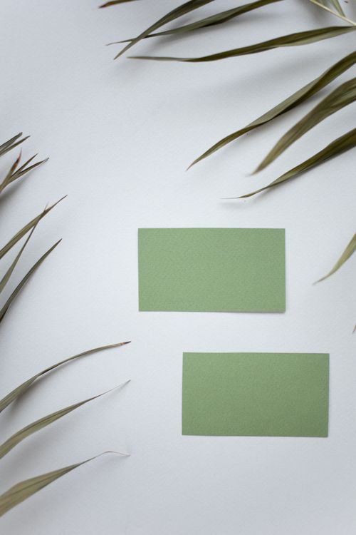 Free Top view of green blank business cards placed on white background near leaves of lush plant in light modern studio Stock Photo