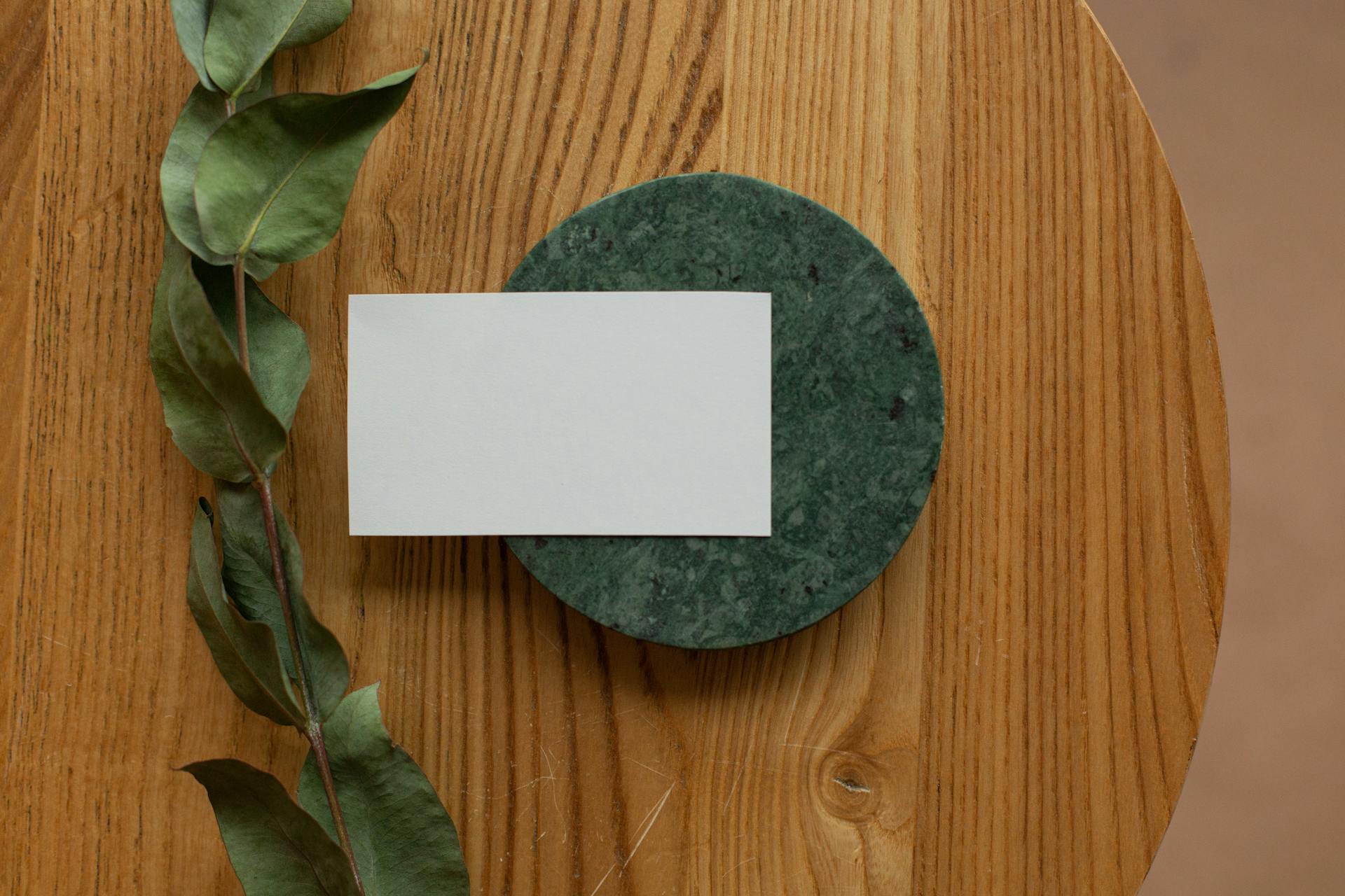 Top view of white mock up business card on round board placed on wooden table with green branch in room