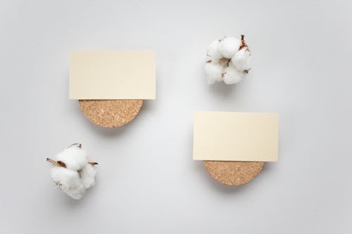 Blank business cards on boards near cotton