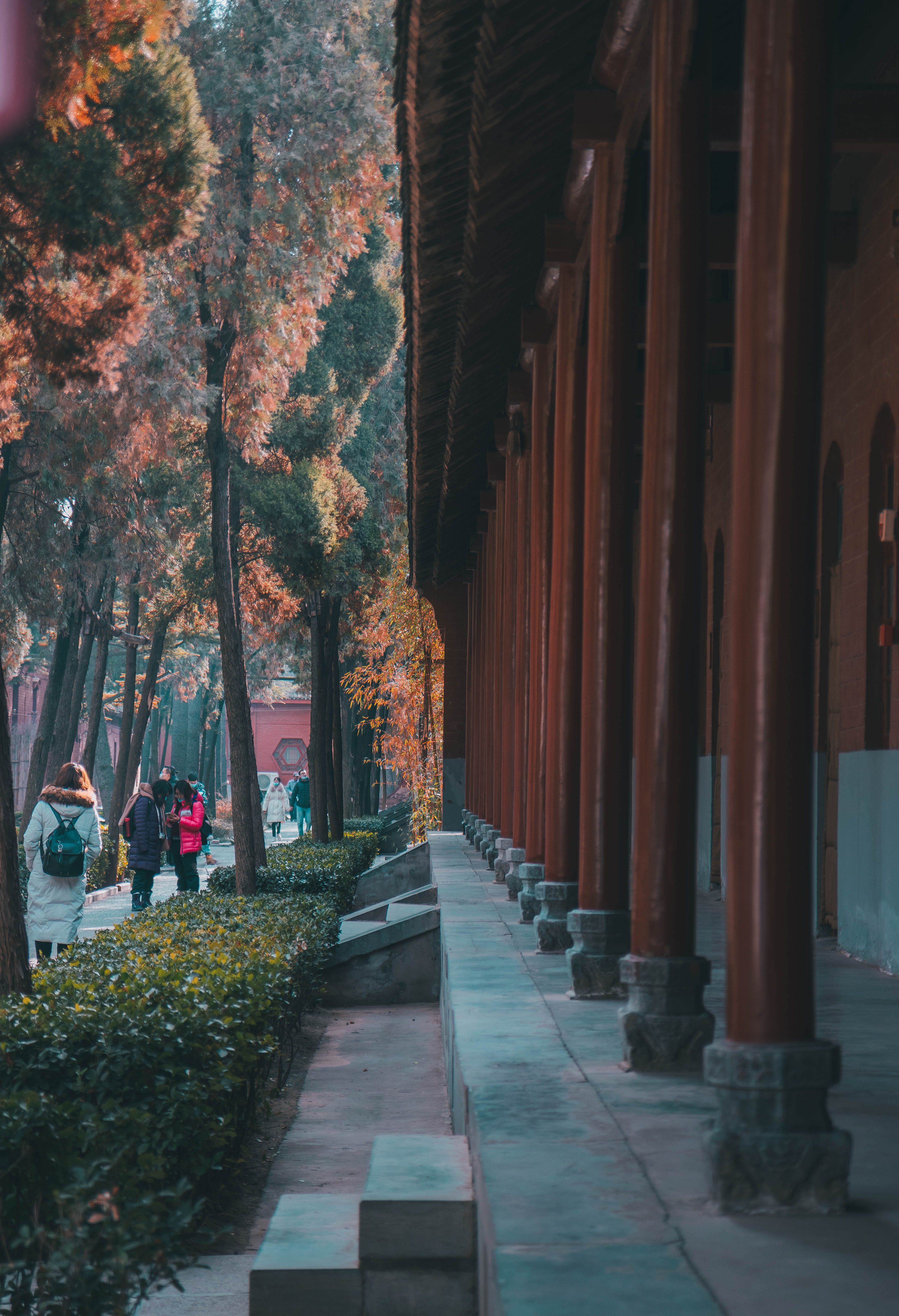 Traditional Architecture on City Street · Free Stock Photo