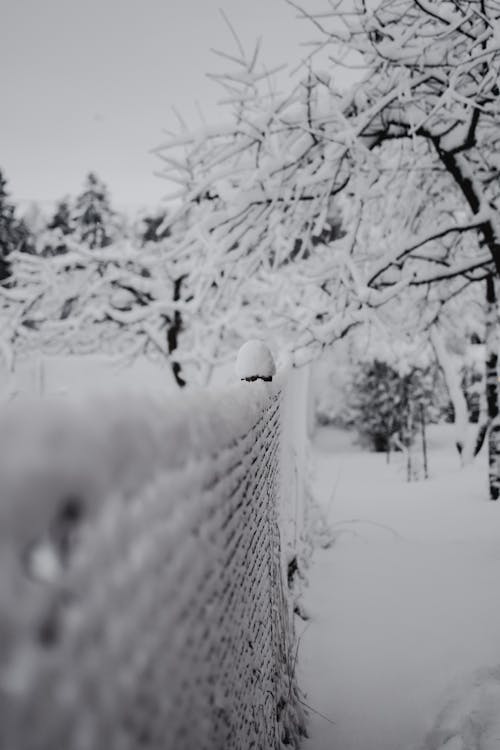 Fotobanka s bezplatnými fotkami na tému chladný, ohrada, počasie