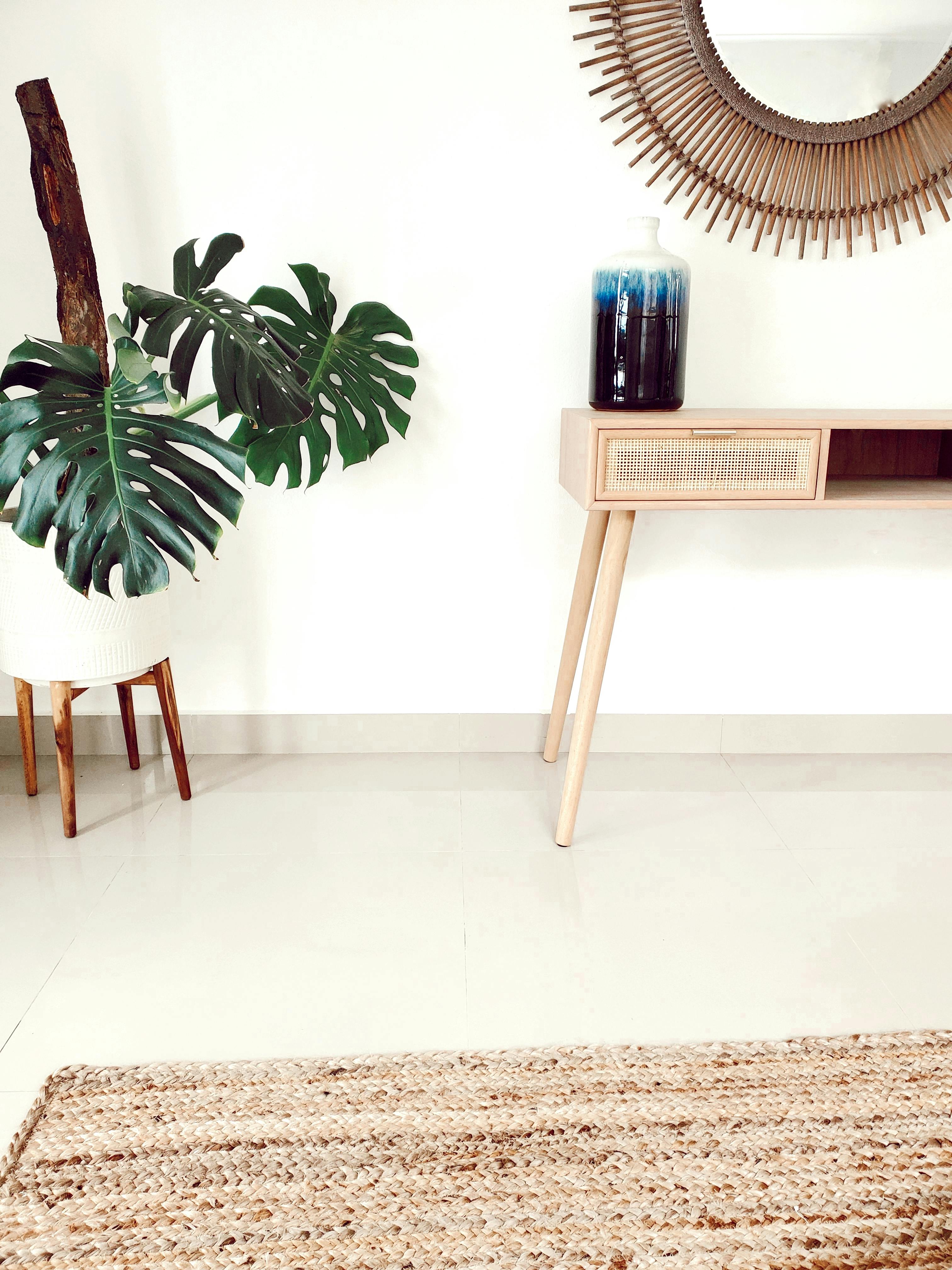 Free stock photo of comfortable, decor, decorative plants Stock Photo