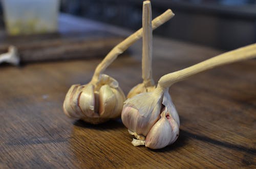 High angle of fresh unpeeled garlic bulbs placed on wooden table in kitchen