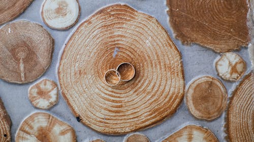 Top view composition of classy golden rings arranged on wooden round board before wedding ceremony