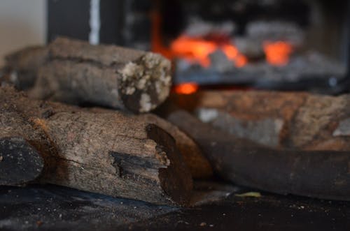 Wood Logs on the Table