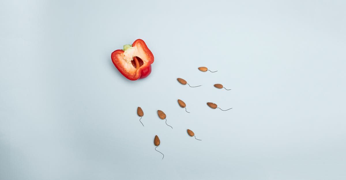 財經:如何應對即將來臨的全球糧食危機?揭開荷姆茲海峽的化肥瓶