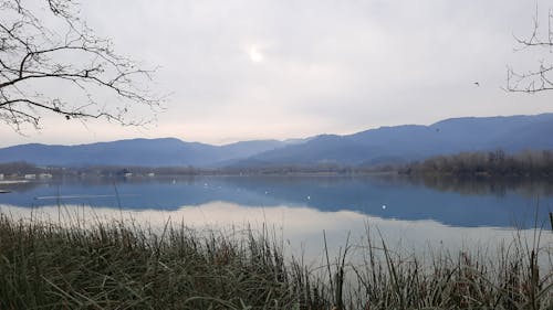 Green Grass Near the Lake