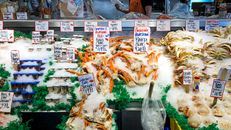 Seafoods on Fish Market