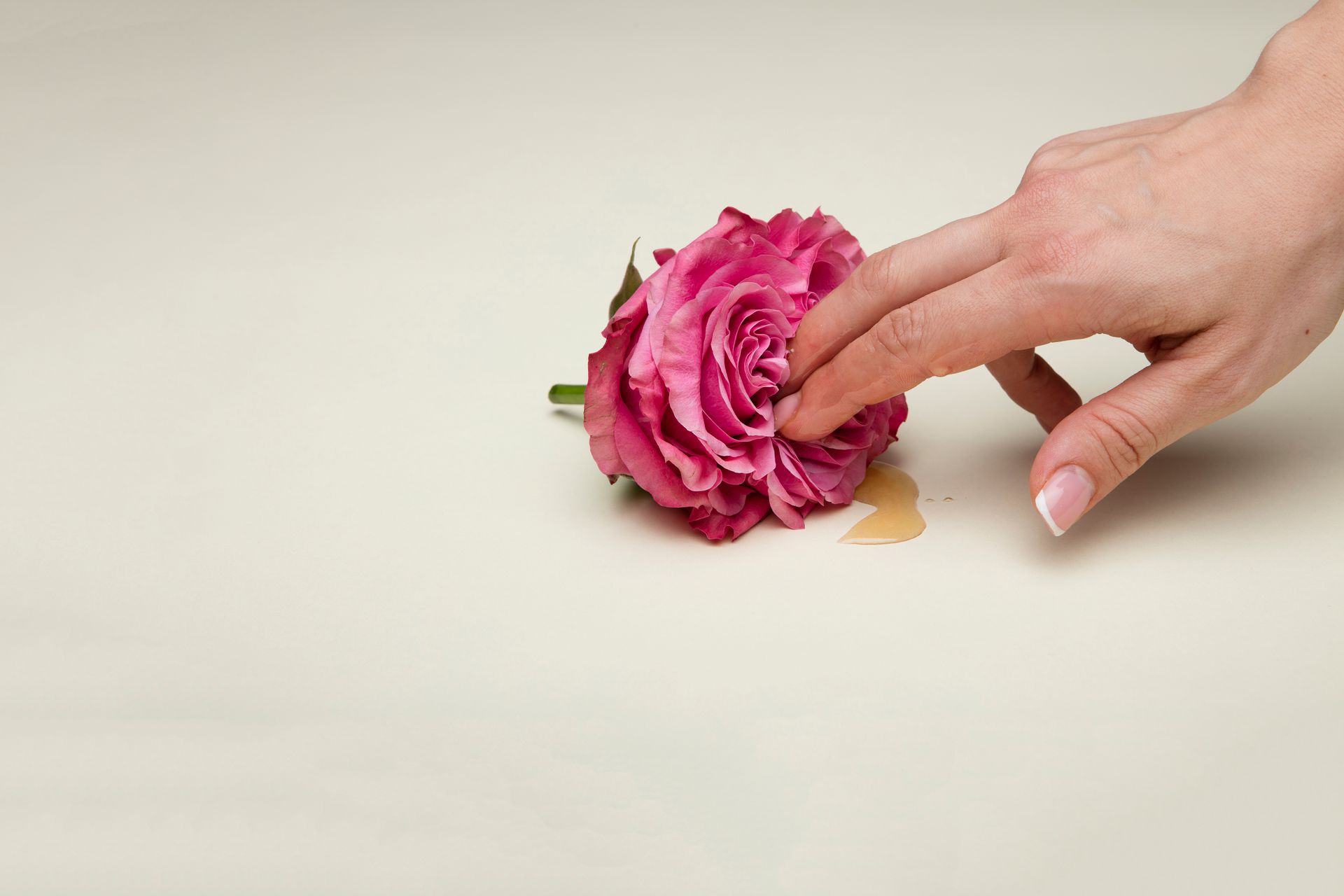 A hand gently touches a pink rose on a neutral background, symbolizing care.