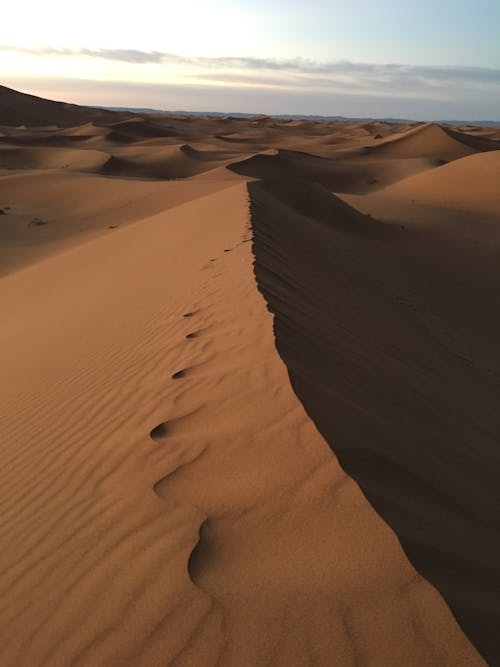 Imagine de stoc gratuită din deșert, dune, fotografie din aer