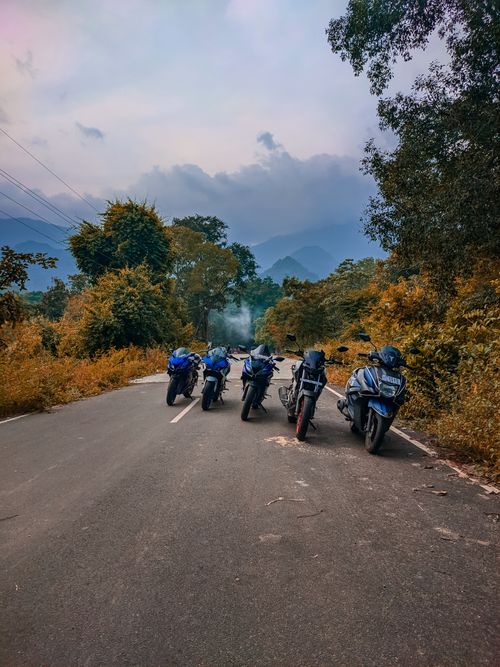 Free A group of motorbikes parked on a scenic mountain road surrounded by lush trees and rolling hills. Stock Photo