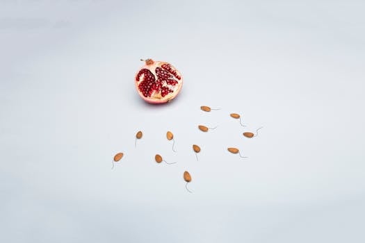 Creative arrangement of pomegranate and almond seeds representing fertility.