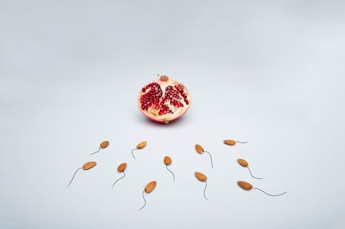 Kostnadsfri bild av frön, granatäpple, konceptuell