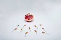 A conceptual image of almond shapes resembling sperm surrounding a pomegranate on a white surface.