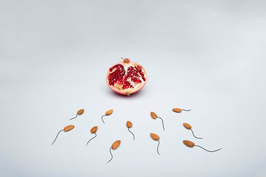 A conceptual image of almond shapes resembling sperm surrounding a pomegranate on a white surface.