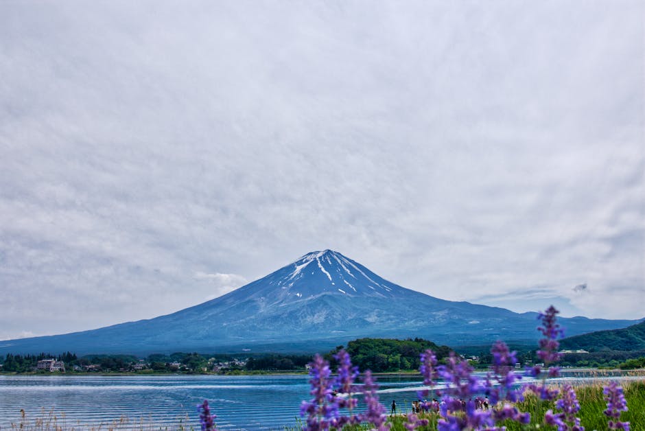 Verão Perfeito na Era do Calor Intenso: Como Hotéis e Ryokan Reinventam a Experiência para Viajantes