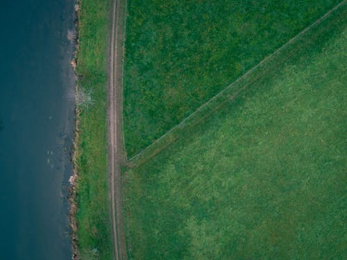 Gratis lagerfoto af droneoptagelse, fugleperspektiv, grøn mark