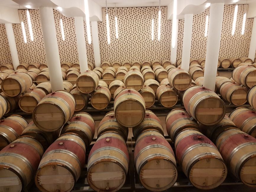 Zhongwei Shapotou Ningxia — Ningxia Wine Region