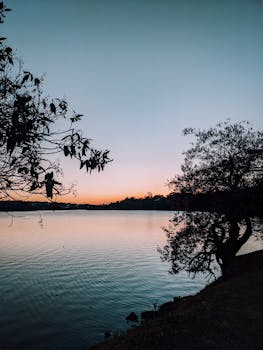 A serene lake with silhouetted trees at sunrise, creating a calm and peaceful atmosphere.