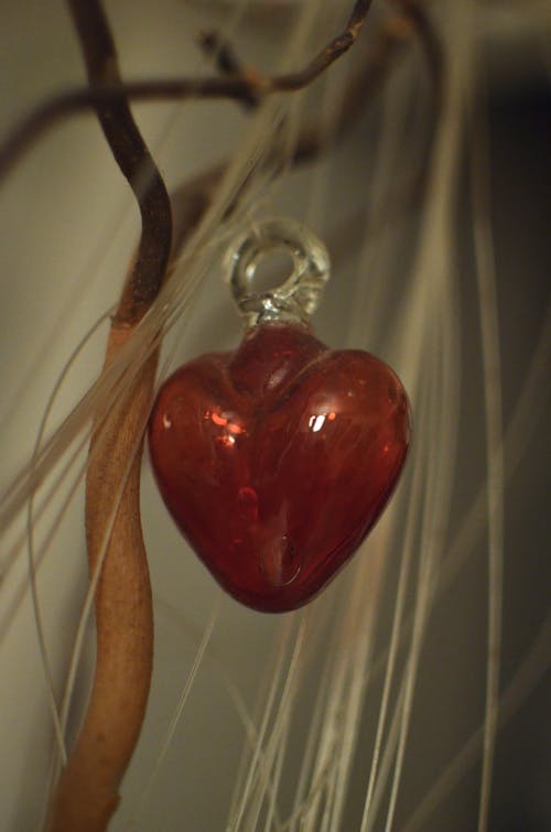 Red heart shaped toy hanging on tree