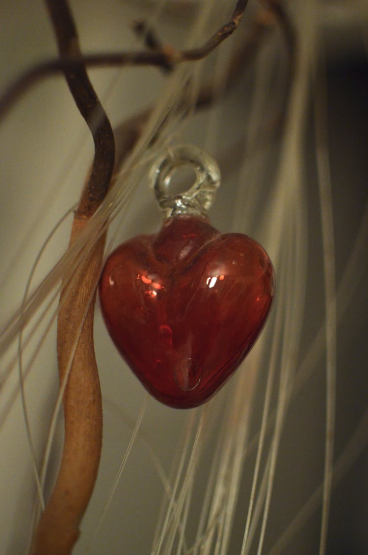 Red Heart Shaped Toy Hanging On Tree