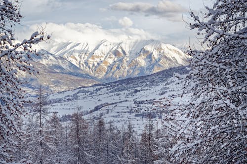 Montagne Couverte De Neige