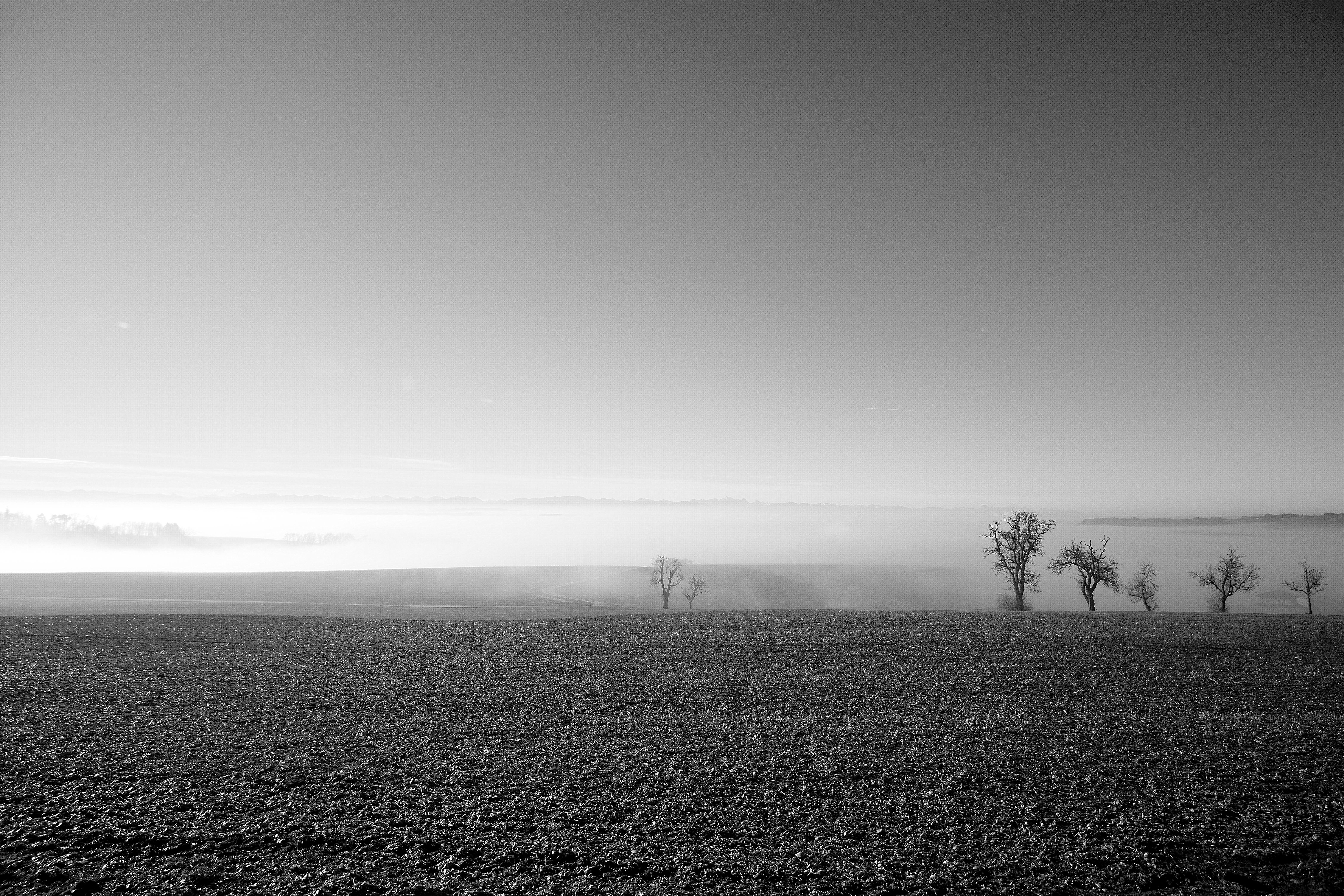 Captivating black and white winter landscape in Upper Austria with trees in fog.