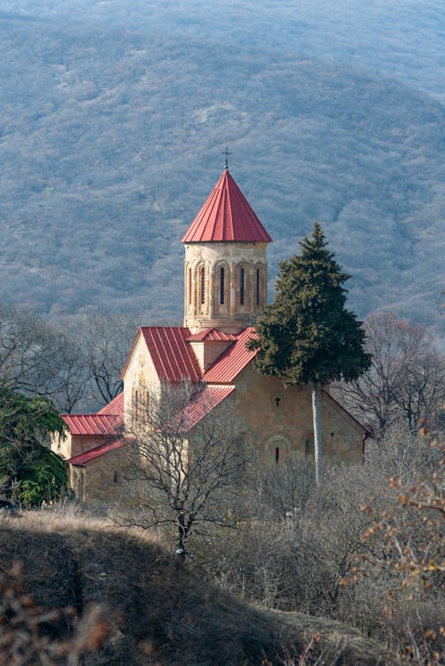 Darmowe zdjęcie z galerii z drzewa, fasada, gruzja