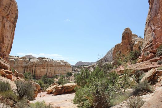 Rock Formations in a Desert