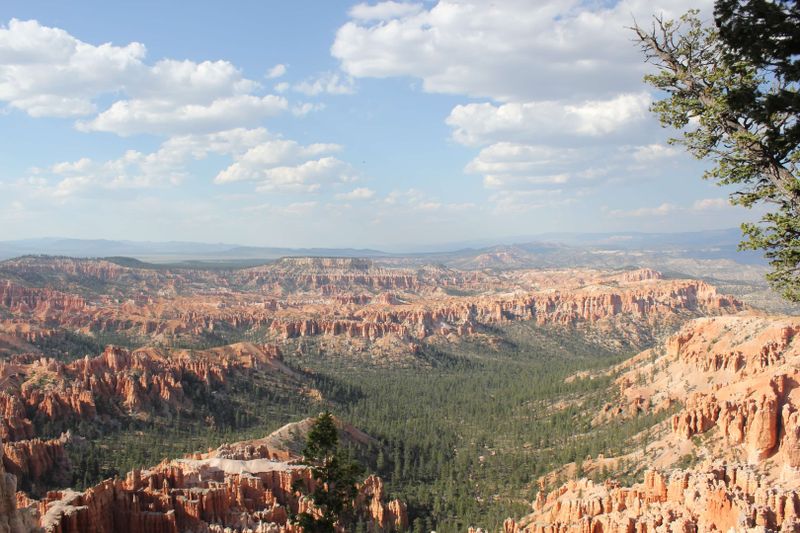 A breathtaking view of Bryce Canyon's unique rock formations and expansive landscapes in Utah.