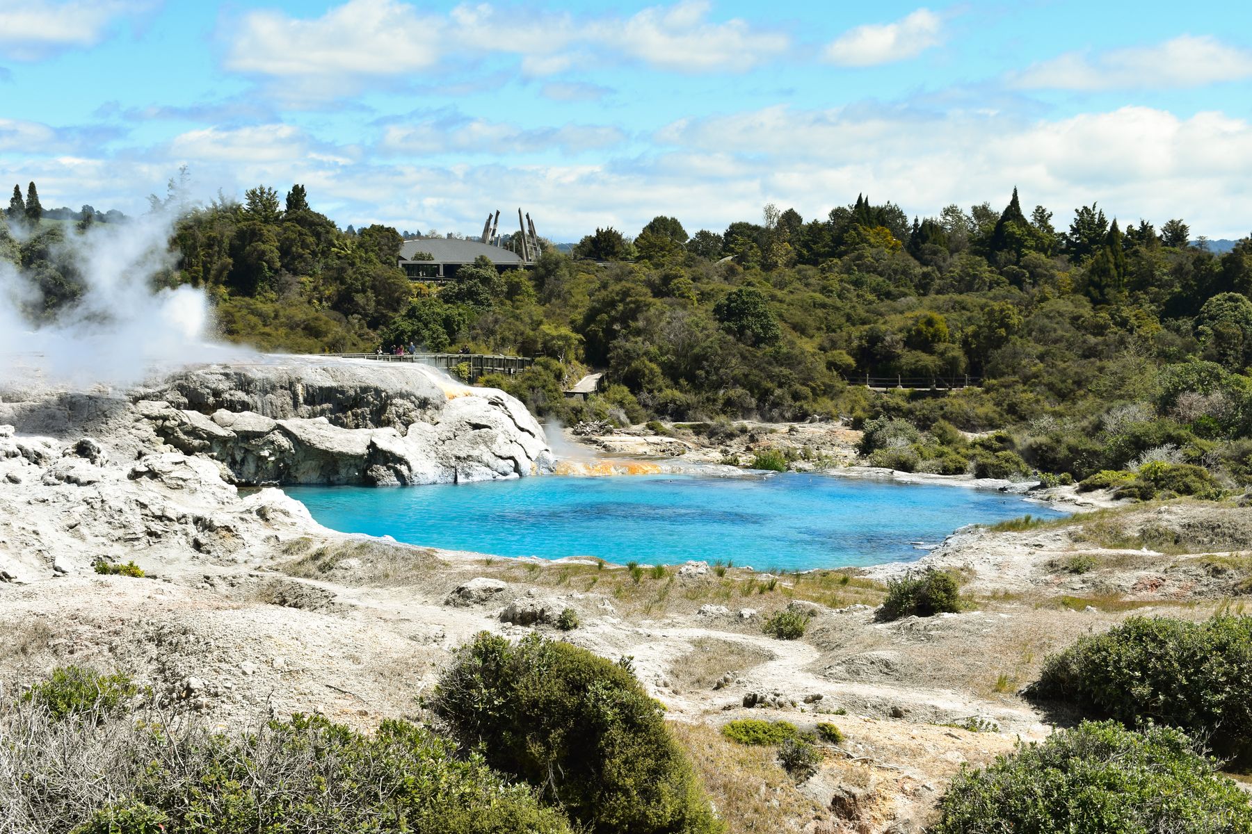 Steam rising from a blue geothermal pool in Rotorua, New Zealand