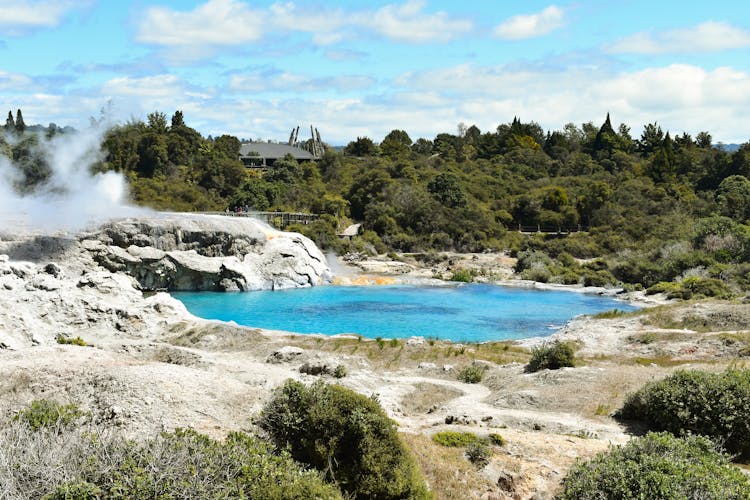 The Rotorua  Lake In New Zealand