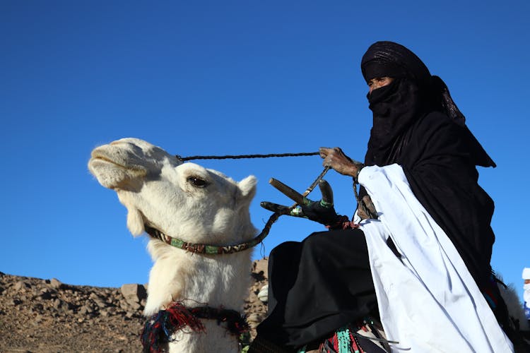 A Woman Riding A Camel