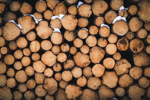 Close Up Shot of Wood Logs