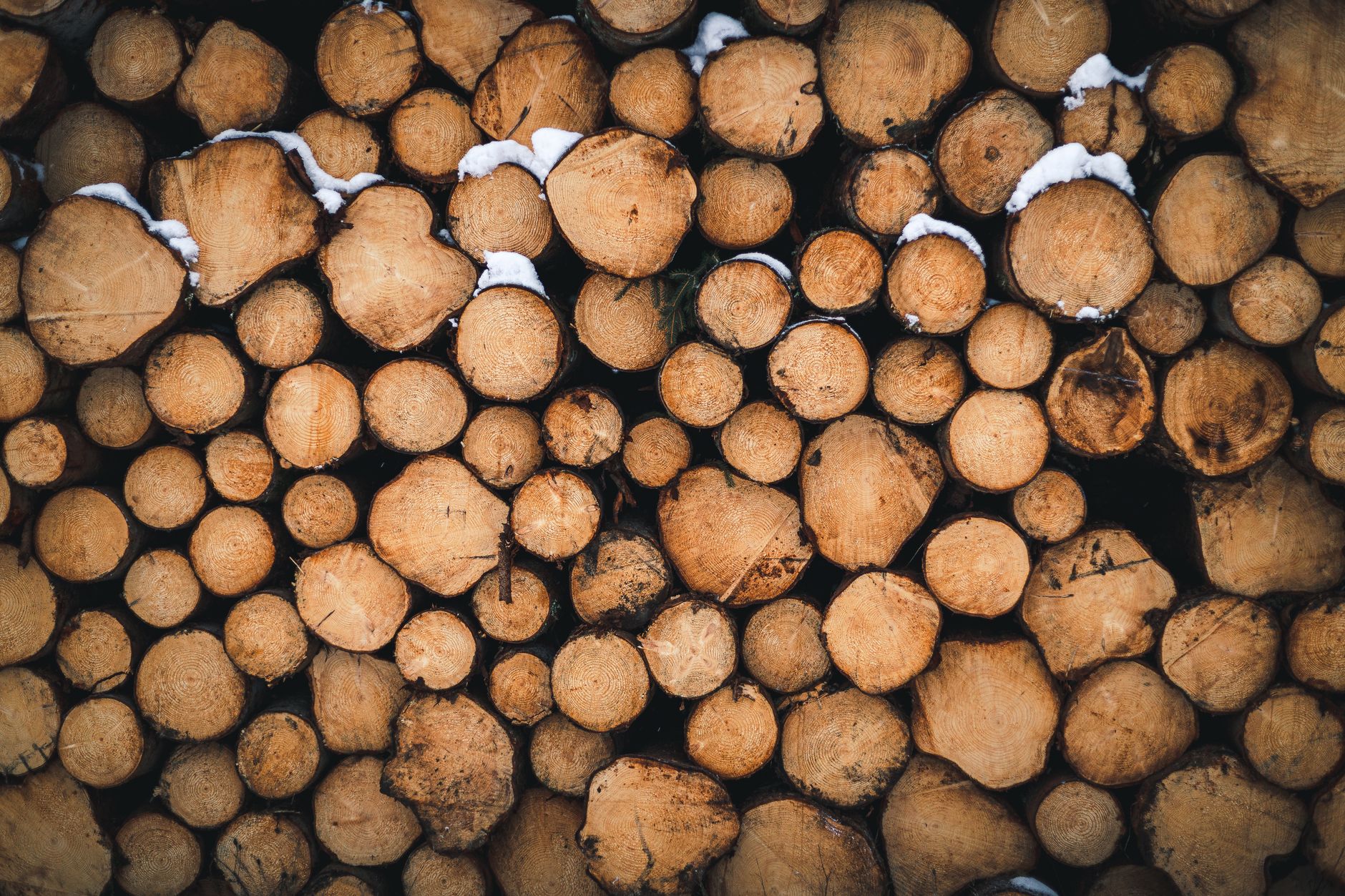JPMorganChase locks 60,000 tons from Graphyte's biomass carbon removal
