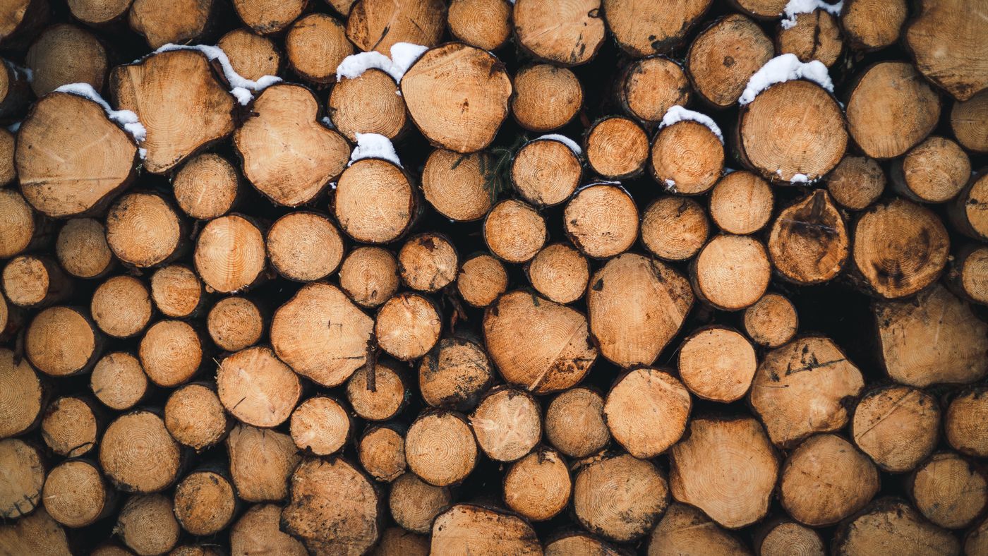 Quinten Timber