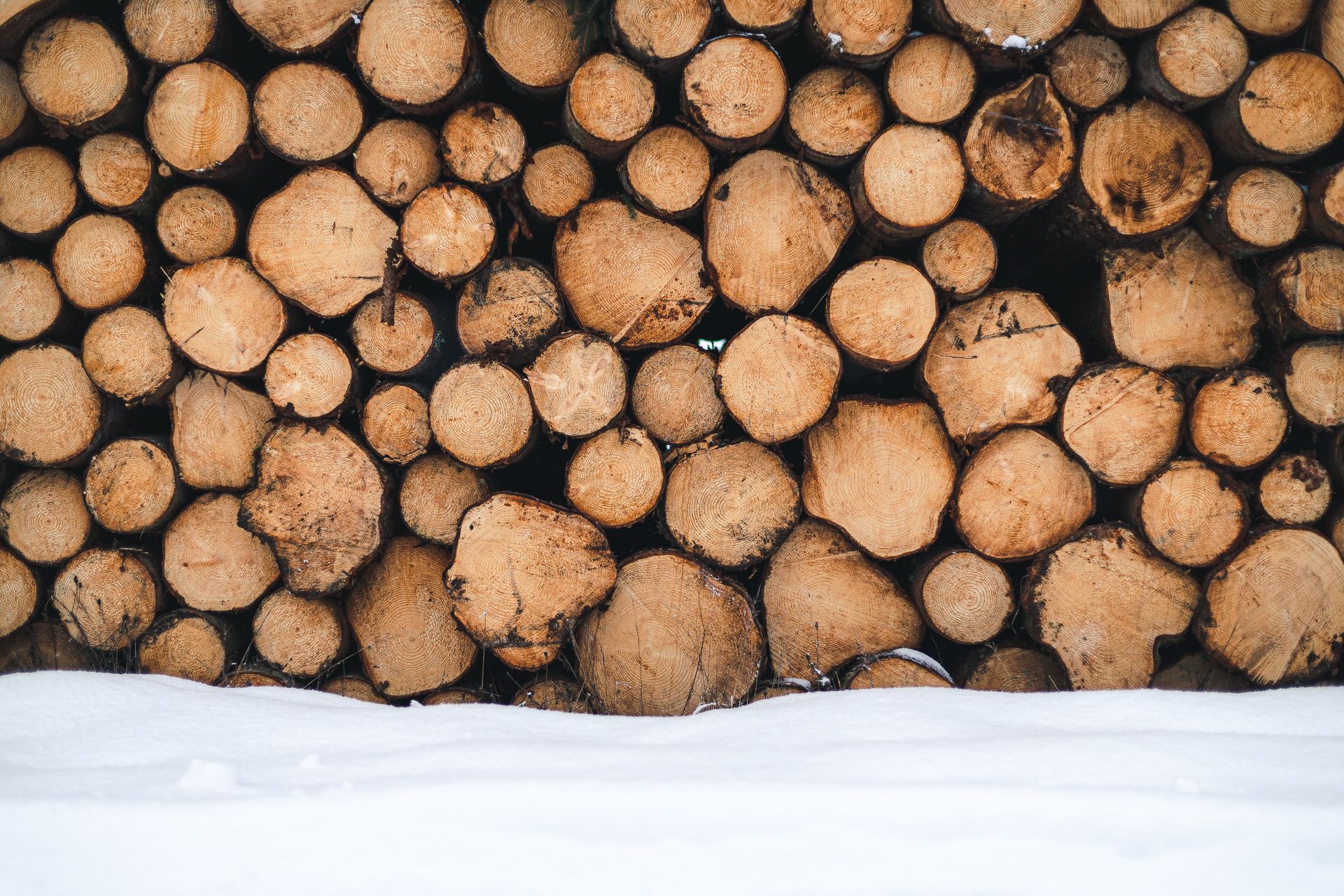 A Pile of Logs