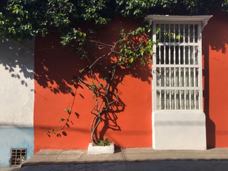 Getsemaní street art and salsa night — Cartagena