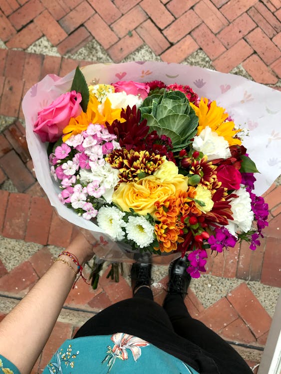 꽃, 다채로운, 밝은의 무료 스톡 사진